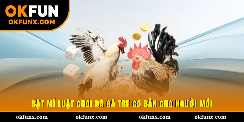 Bật mí luật chơi đá gà tre cơ bản cho người mới