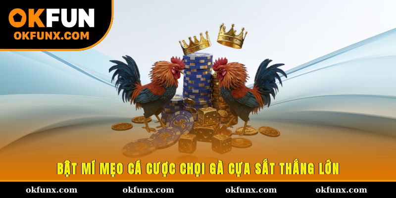 Bật mí mẹo cá cược chọi gà cựa sắt thắng lớn