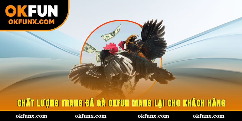 Chất lượng trang đá gà OKFUN mang lại cho khách hàng