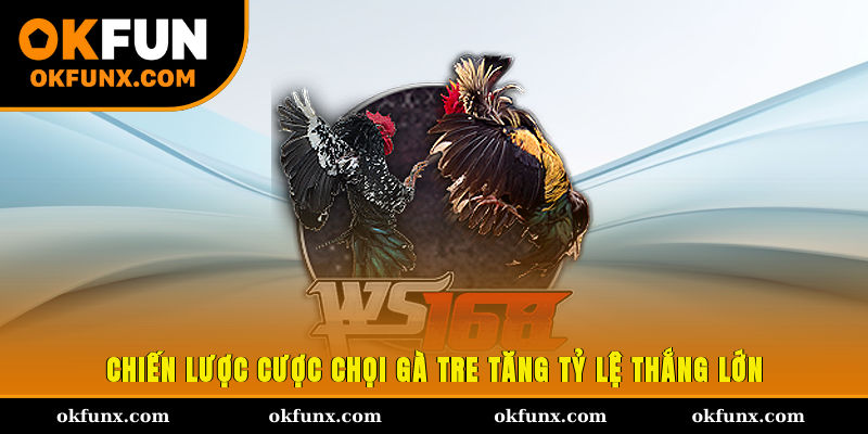 Chiến lược cược chọi gà tre tăng tỷ lệ thắng lớn