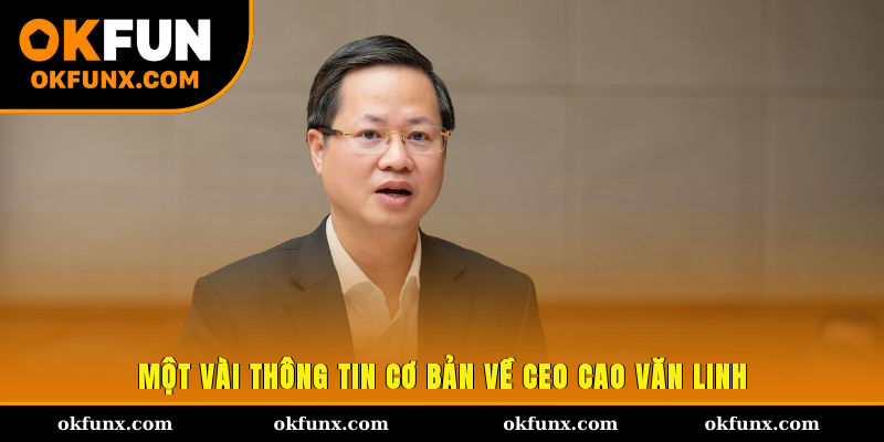Một vài thông tin cơ bản về CEO Cao Văn Linh