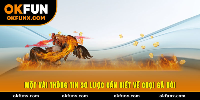 Một vài thông tin sơ lược cần biết về chọi gà nòi