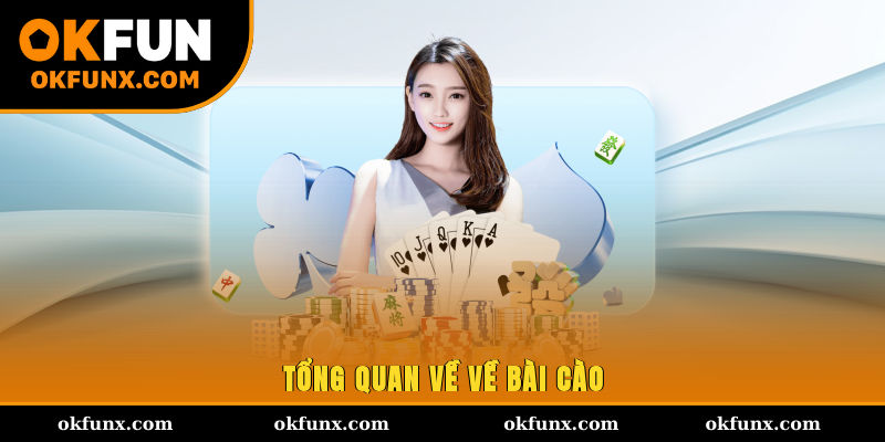 Tổng quan về về bài cào